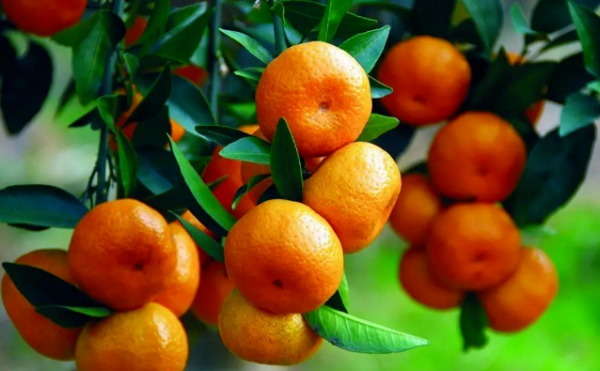 微信截图_20210821090131