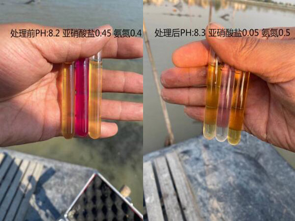 亚硝盐酸偏高处理