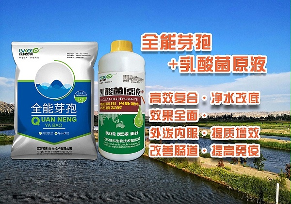 全能芽孢、乳酸菌原液