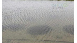河蟹塘水草挂脏处理！