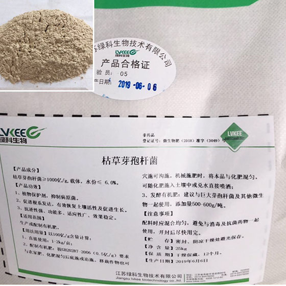 枯草芽孢杆菌1