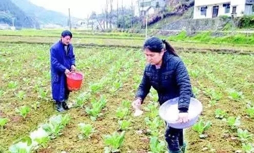 农作物施有机肥