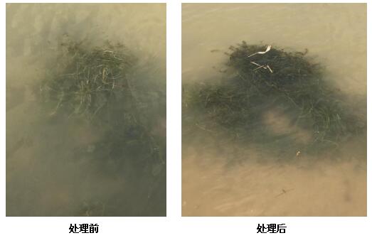 QQ截图20190219095658