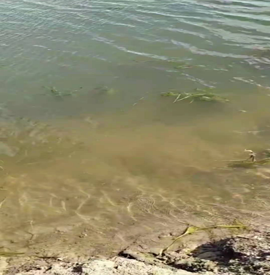 微信图片_20210820150625