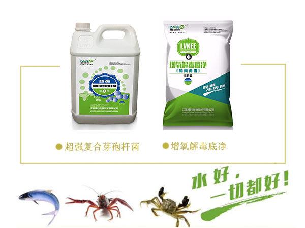 超强复合芽孢杆菌，增氧解毒底净