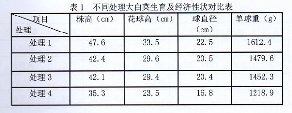 不同处理大白菜对比表