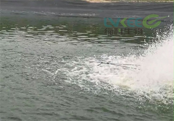 微信图片_20200331090531