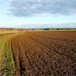 【菌剂科普】冬季使用微生物菌剂具有哪些作用?