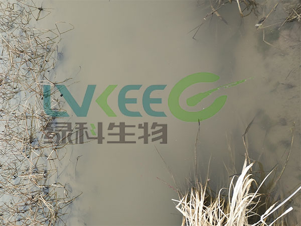 龙虾塘口处理结果