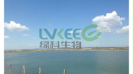 7月份水产养殖病害与预防措施，还不快看看！