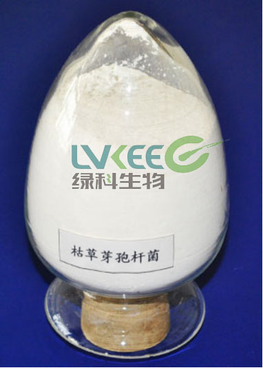 江苏绿科生物枯草芽孢杆菌