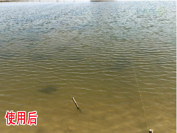 水质不稳定使用后