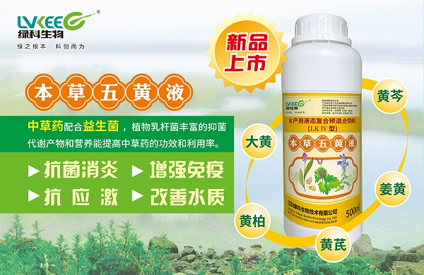 手机海报- 多矿宝