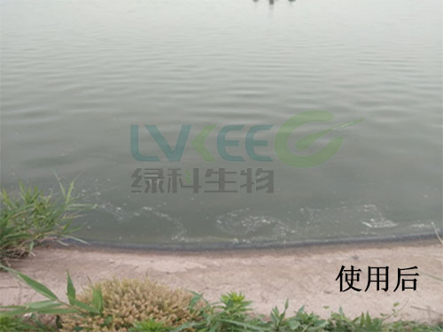 水色偏蓝、蓝藻多处理后