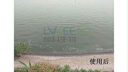 绿科生物全能冠菌帮你解决蓝藻问题！