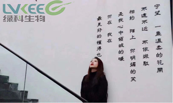 3月的春天，温暖了岁月，成全世界的生命