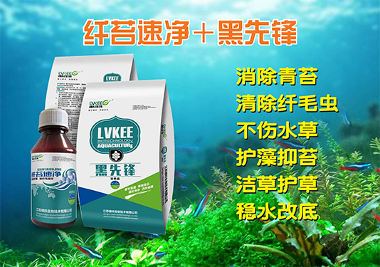 黑先锋，纤苔速净