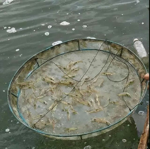 src=http___nimg.ws.126.net__url=http%3A%2F%2Fdingyue.ws.126.net%2F2021%2F0620%2F2613c0c1j00quz3c2001tc000hs00hqc.jpg&thumbnail=650x2147483647&quality=80&type=jpg&refer=http___nimg.ws.126