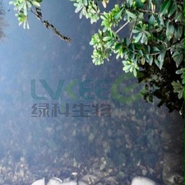 扬州市某河水生态修复项目微生物处理案例！
