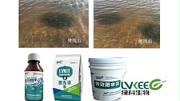 怕青苔，绿科生物告诉你怎么做？