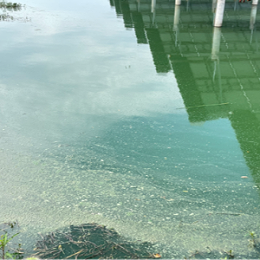【案例分享】雨后蟹塘缺氧，该如何处理？