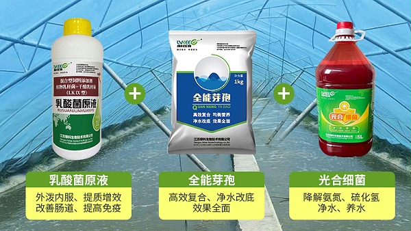 公众号图片制作1