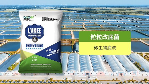 公众号图片制作2