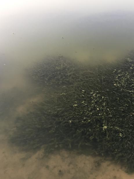 处理后清澈水色