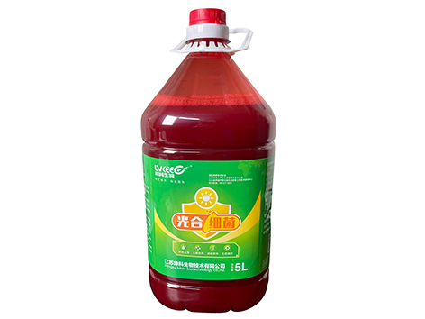 be04e51ff8b041faabe21e1c19308056_2