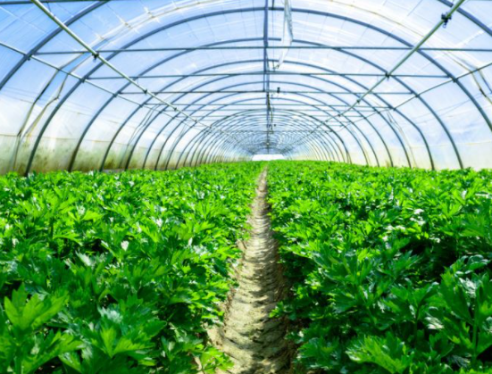 微信截图_20211008161813