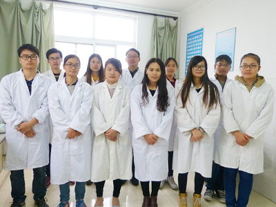 江苏绿科技术团队