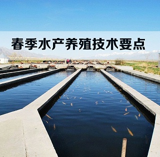 技术分享丨春季水产养殖技术要点分享