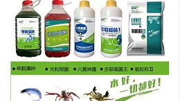 高温袭来，螃蟹缺氧，你是否遇到这样的问题？