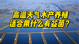 高温天气，什么情况下，该用什么菌，你知道吗？