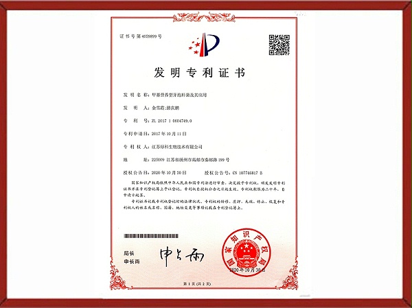 甲基营养型芽孢杆菌及其应用