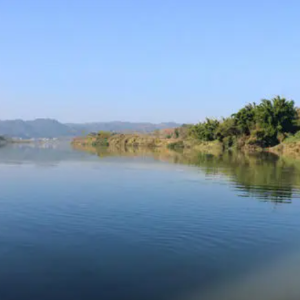 【案例分享】塘口酸化中毒现象的处理方案！