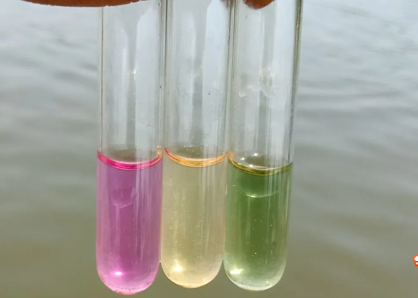 微信截图_20210830160113