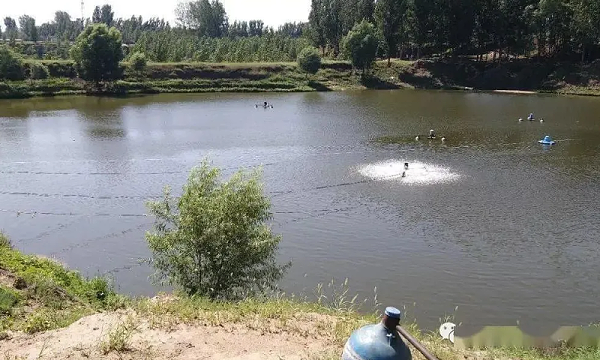 微信截图_20210830160859