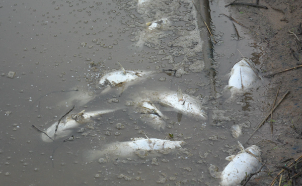 微信截图_20210830162033