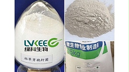 为啥水产高手更青睐微生物菌剂？菌剂养虾蟹比鱼药更好！