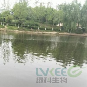 【郑州】荥阳新田城景观湖处理案例