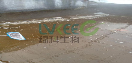 工厂化水体杂质未处理
