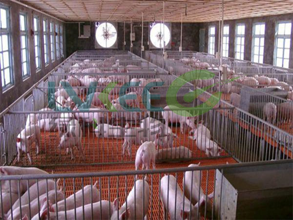 枯草芽孢杆菌饲料添加