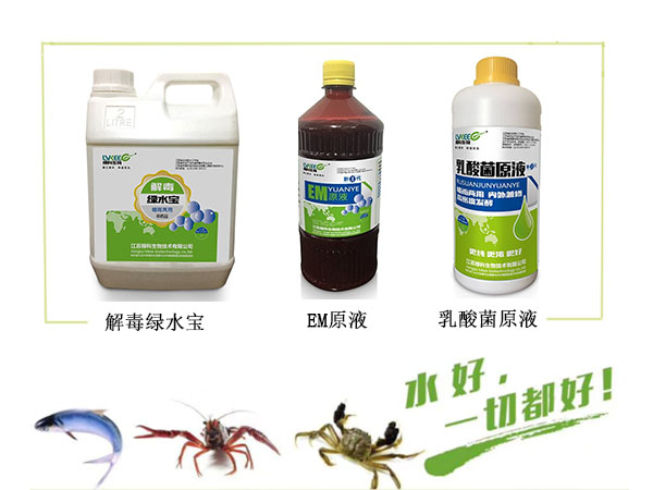 鳜鱼塘水浓绿科产品搭配