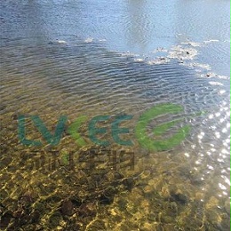 北京某高校除藻剂使用案例