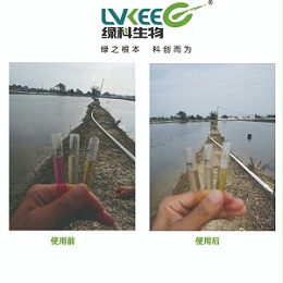 虾蟹混养塘亚硝酸盐处理