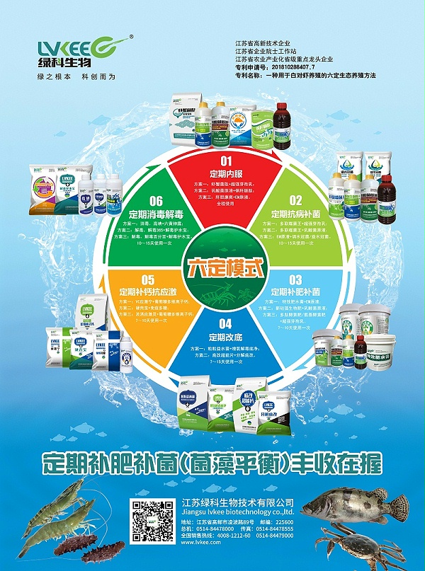 六定单张 - A4000副本