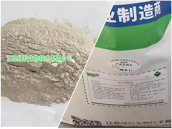 江苏绿科生物枯草芽孢杆菌