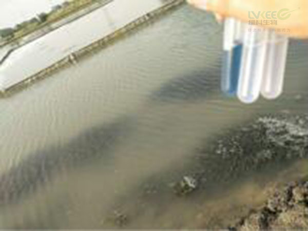 处理蟹塘ph值高问题