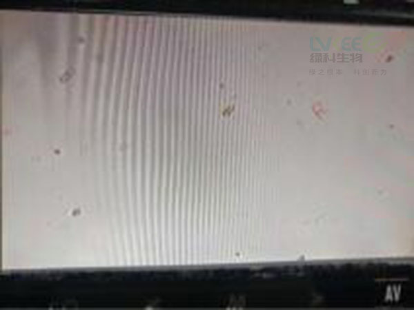 处理蟹塘水草茂盛ph值1